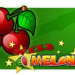 Slot Online Wild Melon