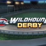 Info Slot Wildhound Derby